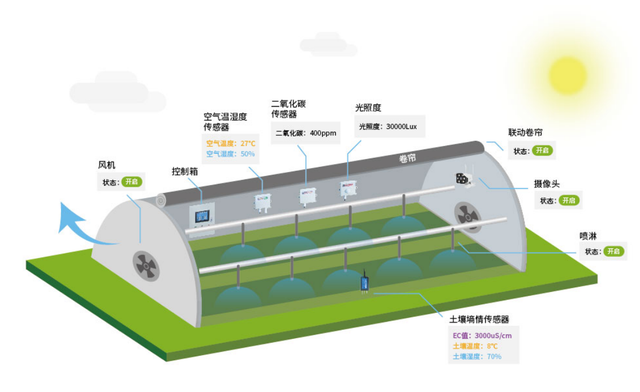 溫室大棚智能化管理 開啟工廠化規模生產與高經濟效益的新篇章