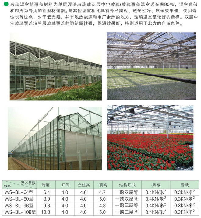科技賦能新農村 鑫鈺溫室工程引領綠色農業新篇章