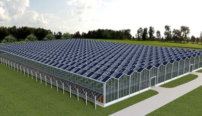 現代化溫室類型解析與應用前景探討